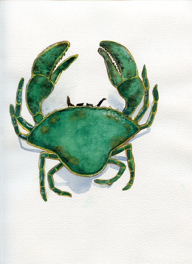 Crab