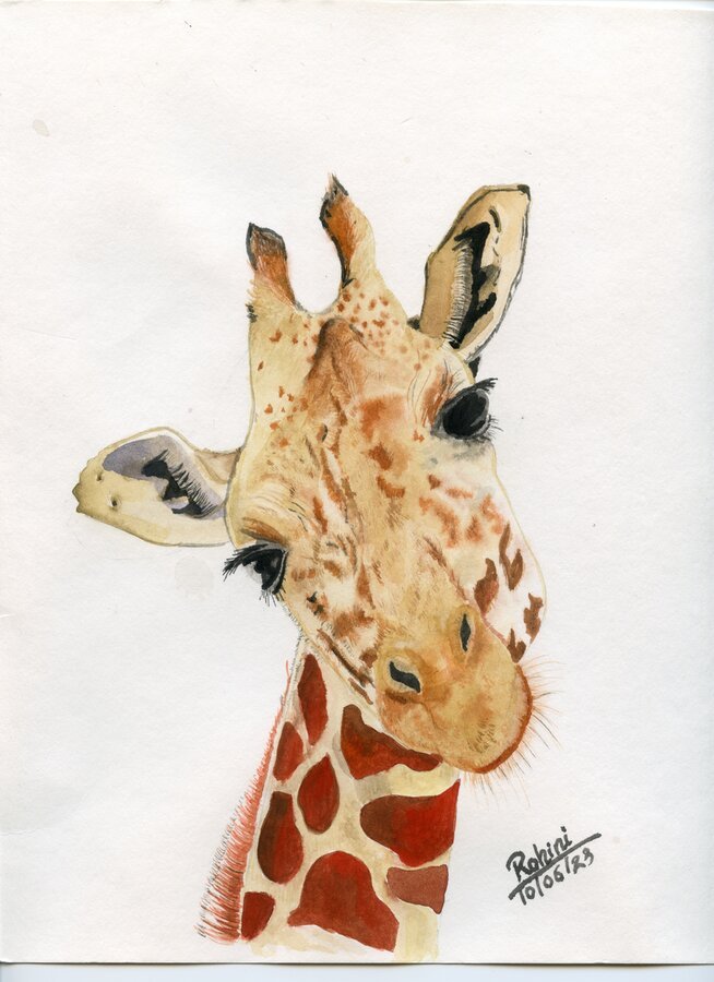 Giraffe