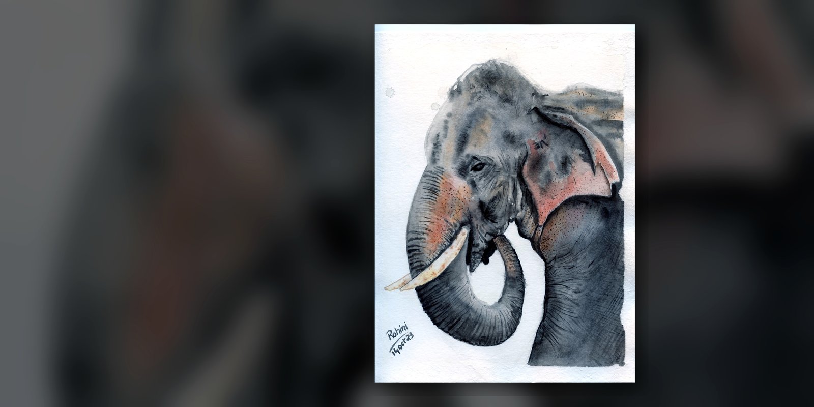 Elephant watercolor — Rohini Rangari