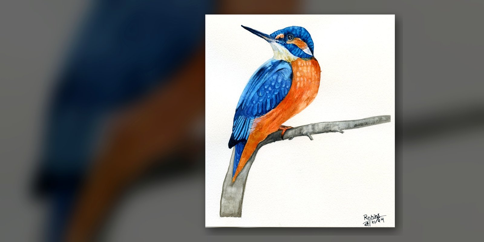 Kingfisher watercolor — Rohini Rangari