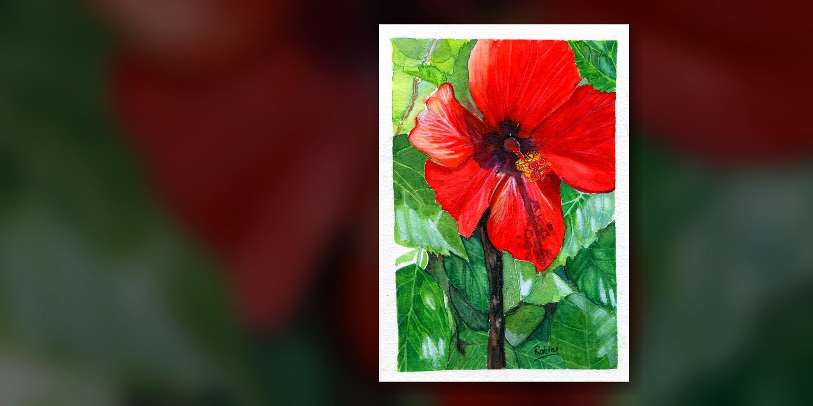 Hibiscus watercolor — Rohini Rangari