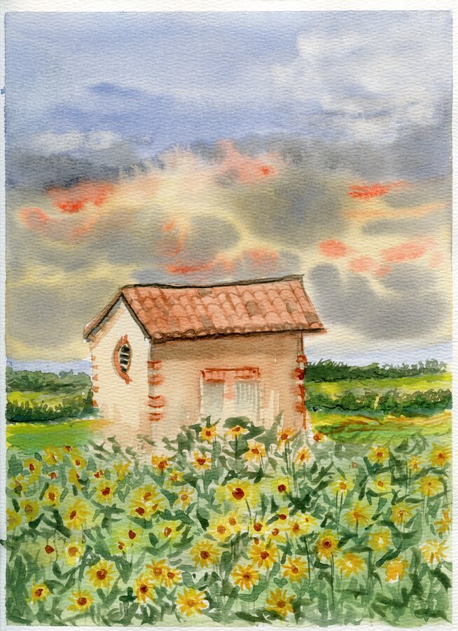 House Near Flowerbed