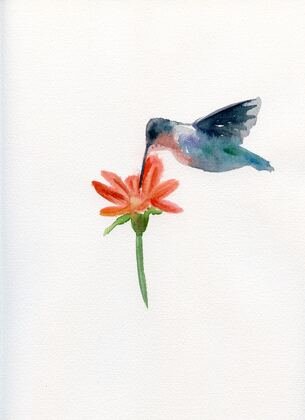 Hummingbird