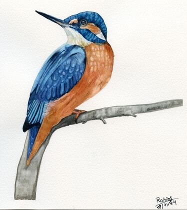 Kingfisher watercolor — hero painting