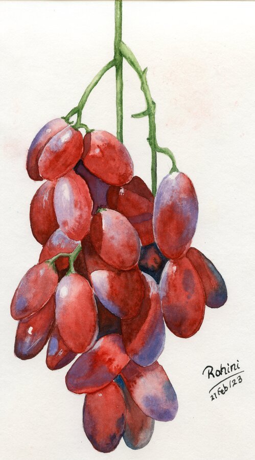 Red Grape Bunch
